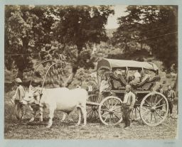 Chariot à traction animale pour le transport de
personnes © Musée Guimet, Paris, Distr. Rmn / Image Guimet Chariot à traction animale pour le transport de
personnes © Musée Guimet, Paris, Distr. Rmn / Image Guimet