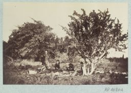 Un pique-nique © Musée Guimet, Paris, Distr. Rmn / Image Guimet Un pique-nique © Musée Guimet, Paris, Distr. Rmn / Image Guimet