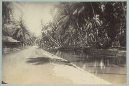 Cours d’eau bordé de palmiers (Égypte ou
Indochine) © Musée Guimet, Paris, Distr. Rmn / Image Guimet Cours d’eau bordé de palmiers (Égypte ou
Indochine) © Musée Guimet, Paris, Distr. Rmn / Image Guimet